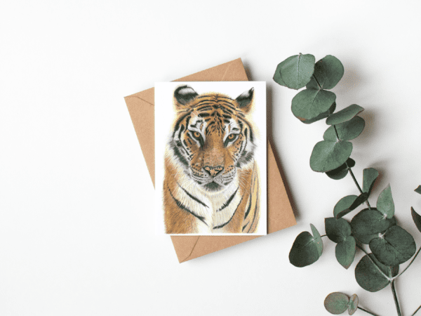 Tiger - kort inkl kuvert
