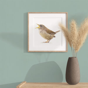 Gärdsmyg – Print