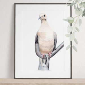 Morgonvakt turkduva original färgpenna 23x45 cm inramad Angelica Diehn Art