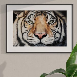 Tiger original färgpenna 70x50 cm inramad Angelica Diehn Art