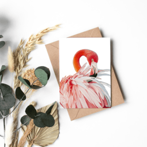 Flamingo – A6-kort