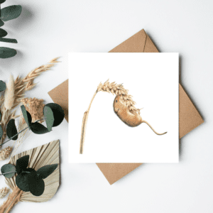 Hang in there – Kvadratiskt kort