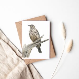 Taltrast – A6-kort