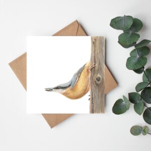 Nötväcka – Kvadratiskt kort