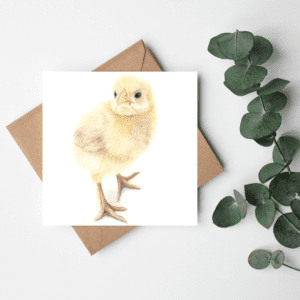 Nykläckt – Kvadratiskt kort