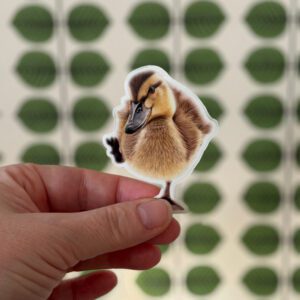 Ankunge - klistermärke